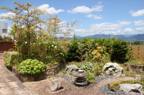 120年に一度?! 屋上庭園の竹の花が咲きました