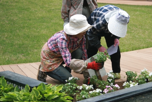 パティオ(中庭)花壇の植替え