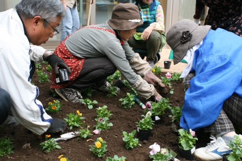 中庭パティオの花壇の植替え