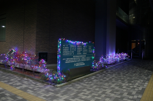 イルミネーション2013がはじまりました