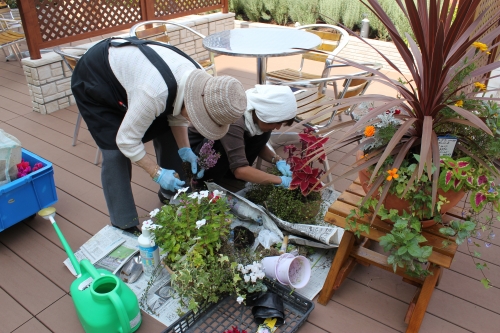 ボランティアの皆さんによる屋上庭園の花の植替え