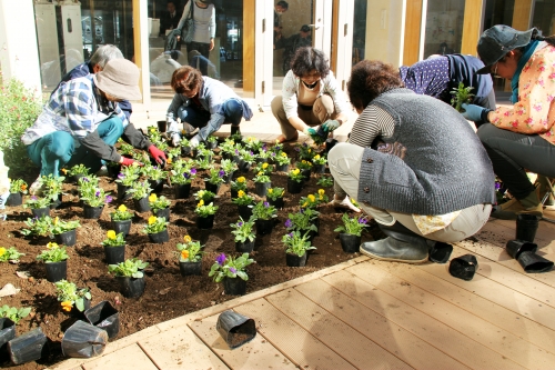 園芸福祉あんずの会 による、中庭パティオの花壇の植替え