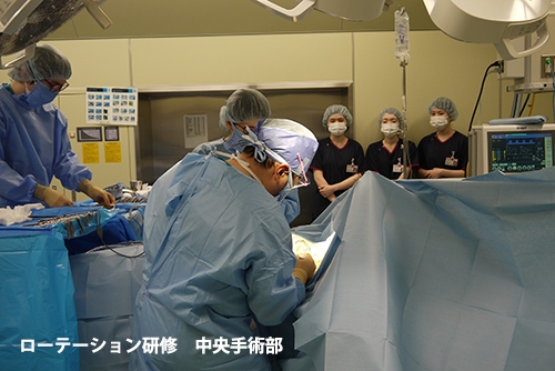 新人職員研修を行いました